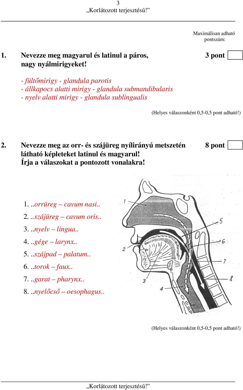 0,5-0,5 pont adható!) 2. Nevezze meg az orr- és szájüreg nyílirányú metszetén 8 pont látható képleteket latinul és magyarul!