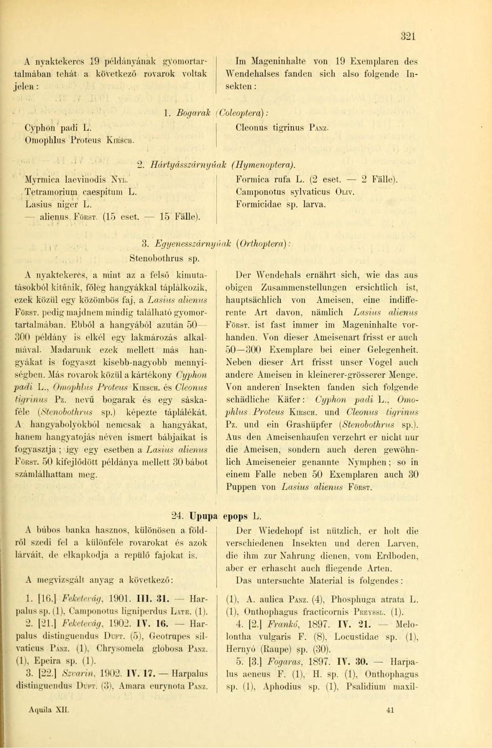 (15 eset. 15 Fälle). (Hgmenoptera). Formica rufa L. (2 eset. 2 Fälle). Camponotus sylvaticus Formicidae sp. larva. OLIV. 3. Egyenesszárny íuik (Orthoptera): Stenobothrus sp. A nyaktekercs, a mint a/.
