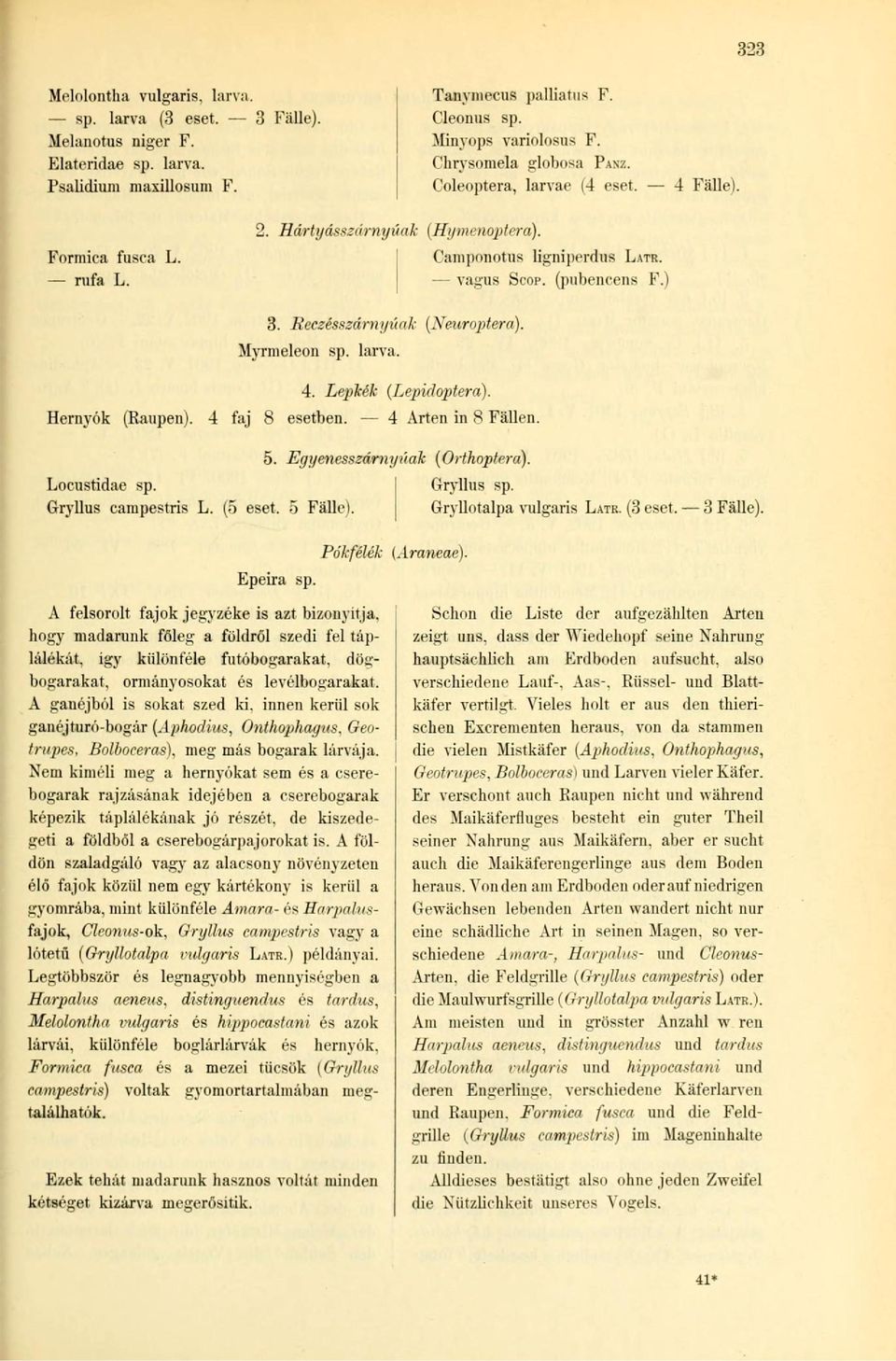 Keczésszárnyúak (Neuroptera). Mynneleon sp. larva. 4. Lepkék (Lepidoptera). Hernyók (Raupen). 4 faj 8 esetben. 4 Arten in 8 Fällen. 5. Egyenesszárnyúak (Orthoptera). Locusfidae sp.