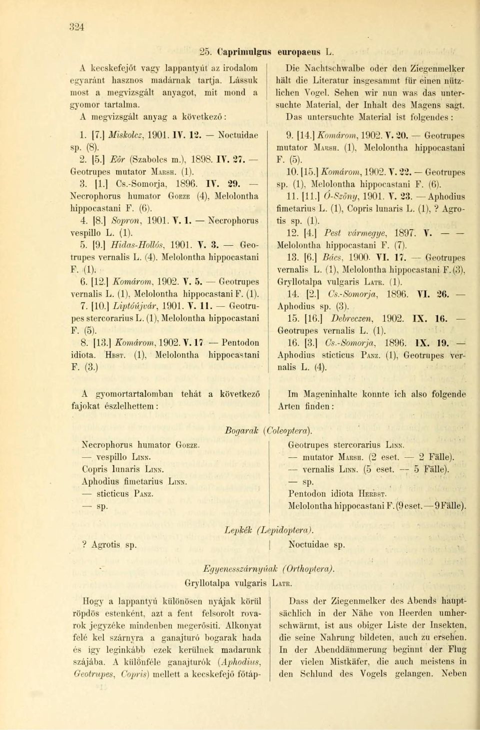 ] Sopron. 1901. V. 1. Necrophorus vespillo L. (1). 5. [9.] Hidas-Hollós, 1901. V. 3. Geotrupes vernalis L. (4). Melolontha hippoeastani F. (1). 6. [12.] Komárom, 1902. V. 5. Geotrupes vernalis L. (1), Melolontha hippoeastani F.