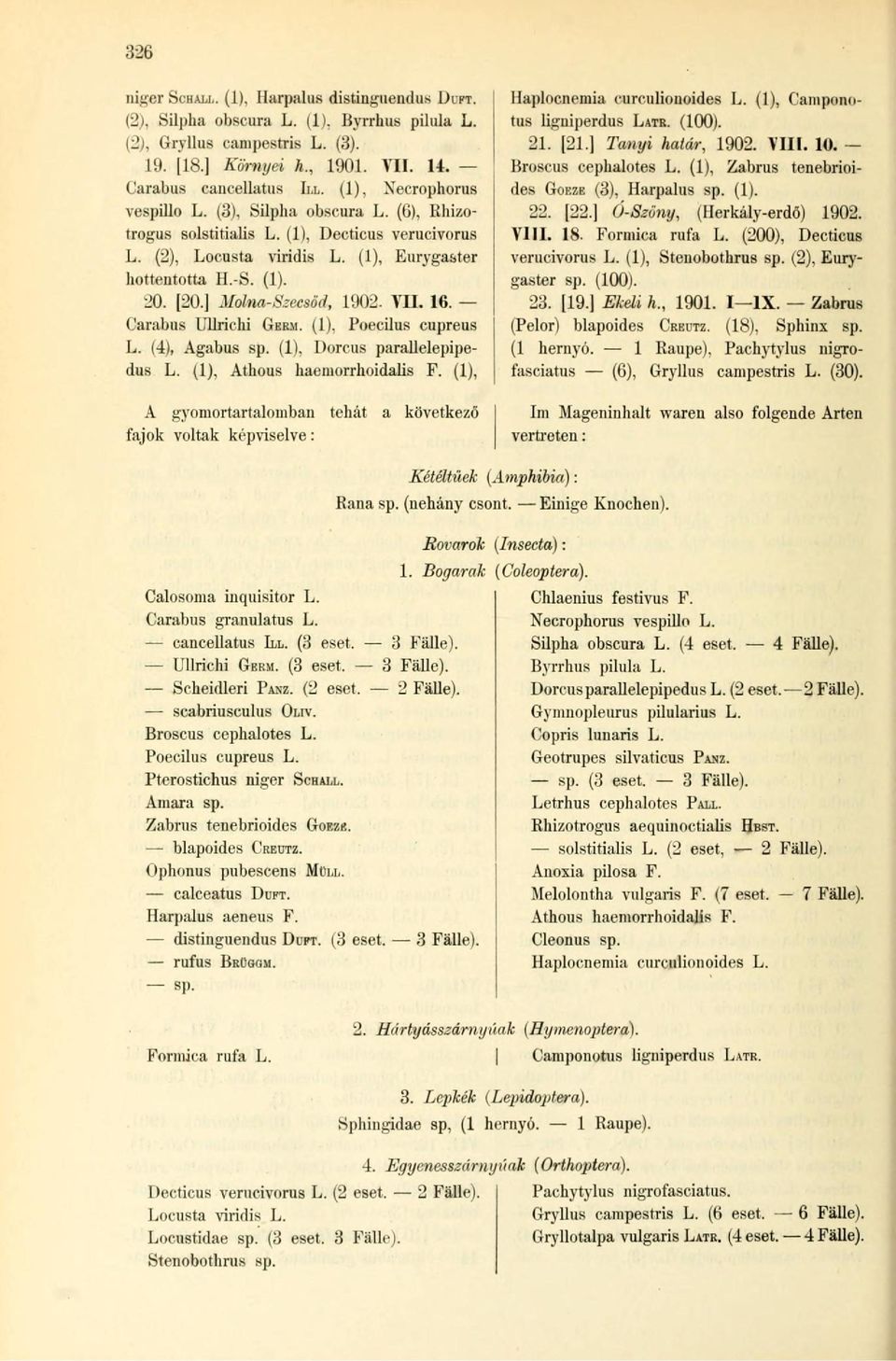 ] Molna-Szecsöd, 1902. VII. 16. Carabus UUrichi GEEM. (1). Poecilus cupreus L. (4), Agabus sp. (1), Dorcus parallelepipedus L. (1), Athous haeniorrhoidalis F. (1), Haplocnemia curculionoides L.
