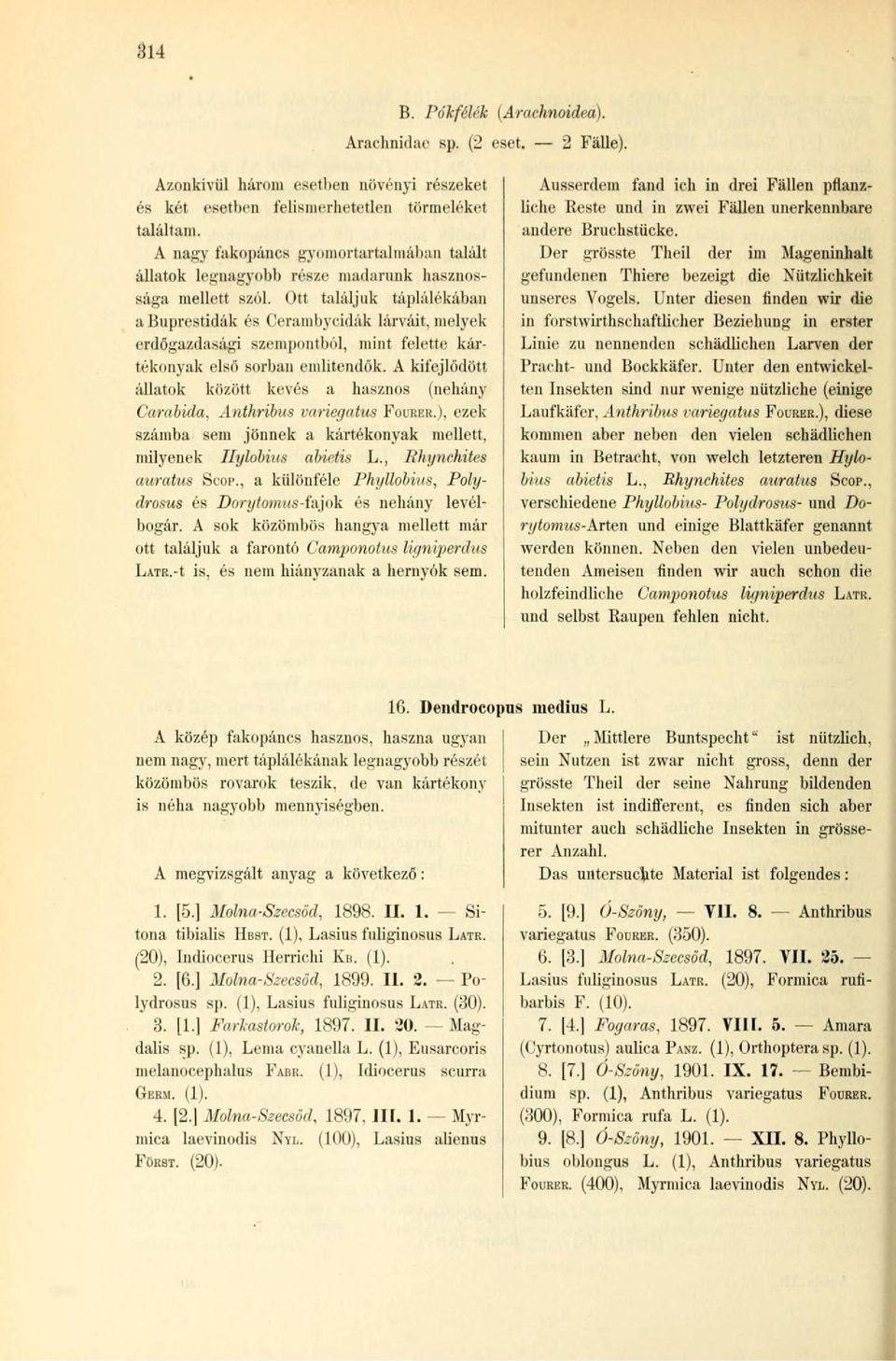 Ott találjuk táplálékában abuprestidák és Cerambycidák lárváit, melyek erdőgazdasági szempontból, mint felette kártékonyak első sorban említendők.