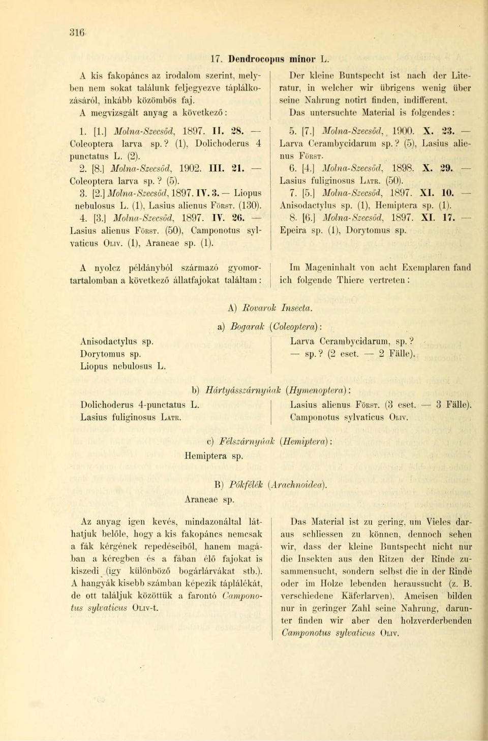 ] Molna-Szecsöd, 1897. IV. 26. Lasius alienus FÜRST. (50), Camponotus sylvaticus OLIV. (1), Araneae sp. (1). [Mis minor L.
