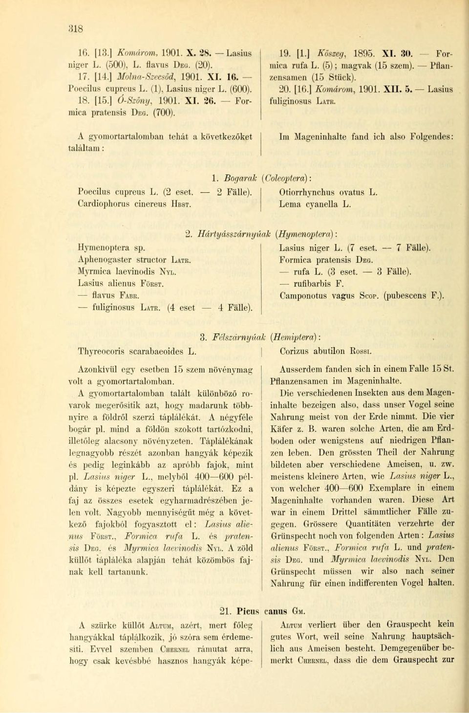 A gyomortartalomban tehát a következőket találtain : Im Mageninhalte fand ich also Folgendes: 1. Bogarak (Coleoptera): Poecilus cupreus L. (2 eset. Cardiophorus cinereus ÜBST. Fälle).