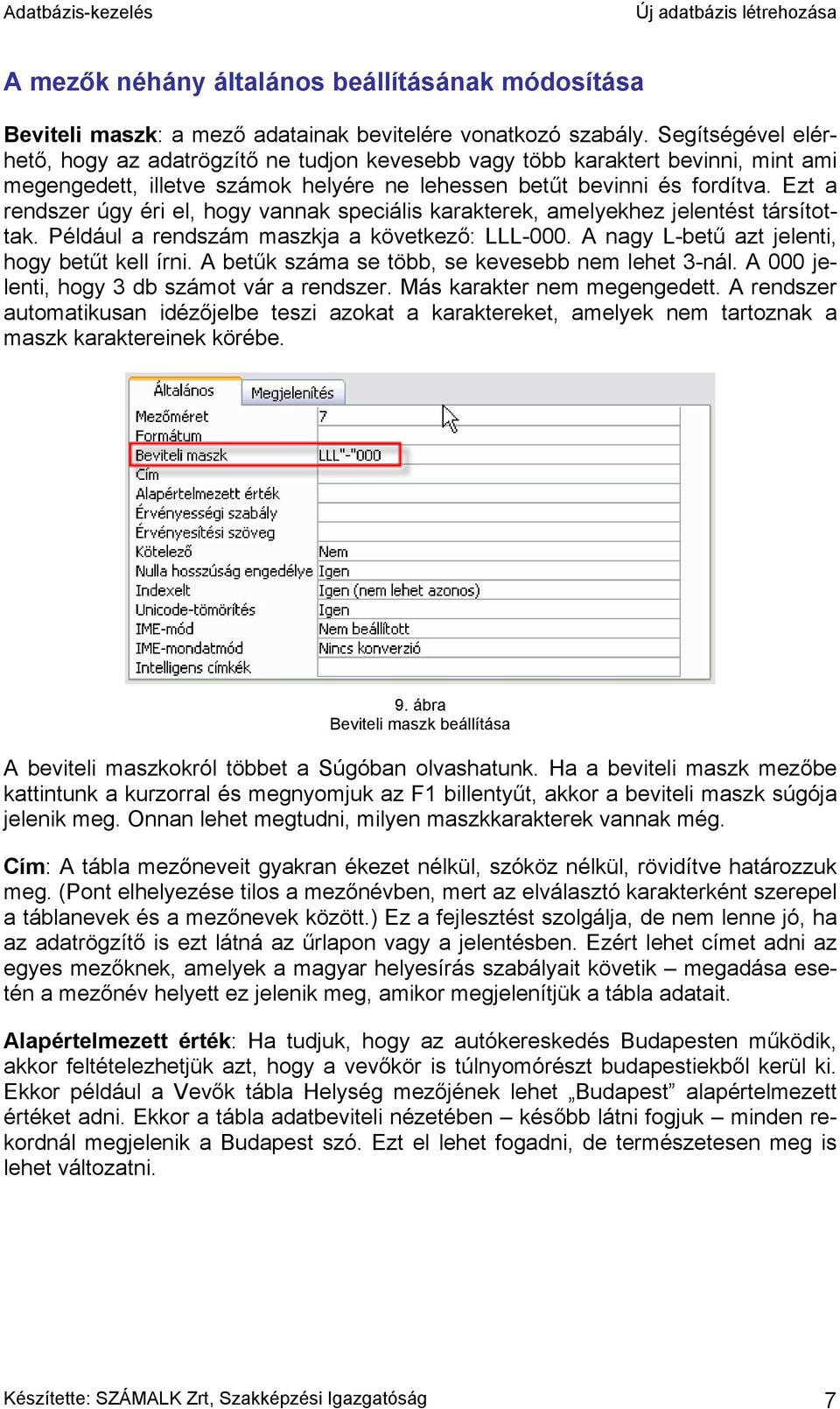 Ezt a rendszer úgy éri el, hogy vannak speciális karakterek, amelyekhez jelentést társítottak. Például a rendszám maszkja a következő: LLL-000. A nagy L-betű azt jelenti, hogy betűt kell írni.