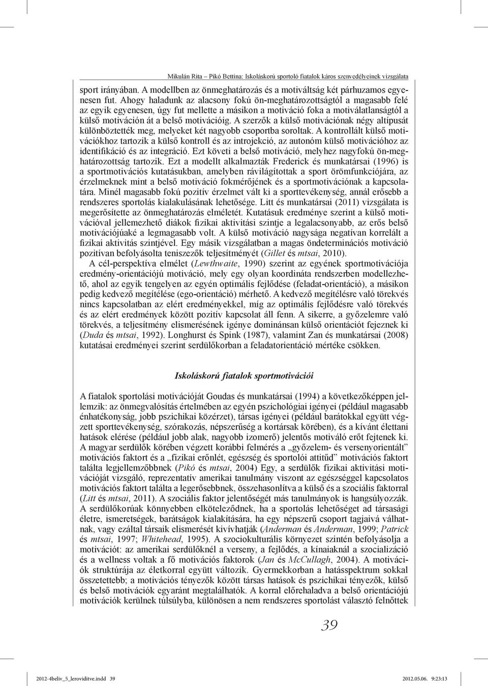 A szerzők a külső motivációnak négy altípusát különböztették meg, melyeket két nagyobb csoportba soroltak.