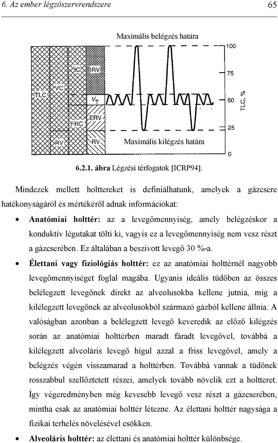 tölti ki, vagyis ez a levegőmennyiség nem vesz részt a gázcserében. Ez általában a beszívott levegő 30 %-a.