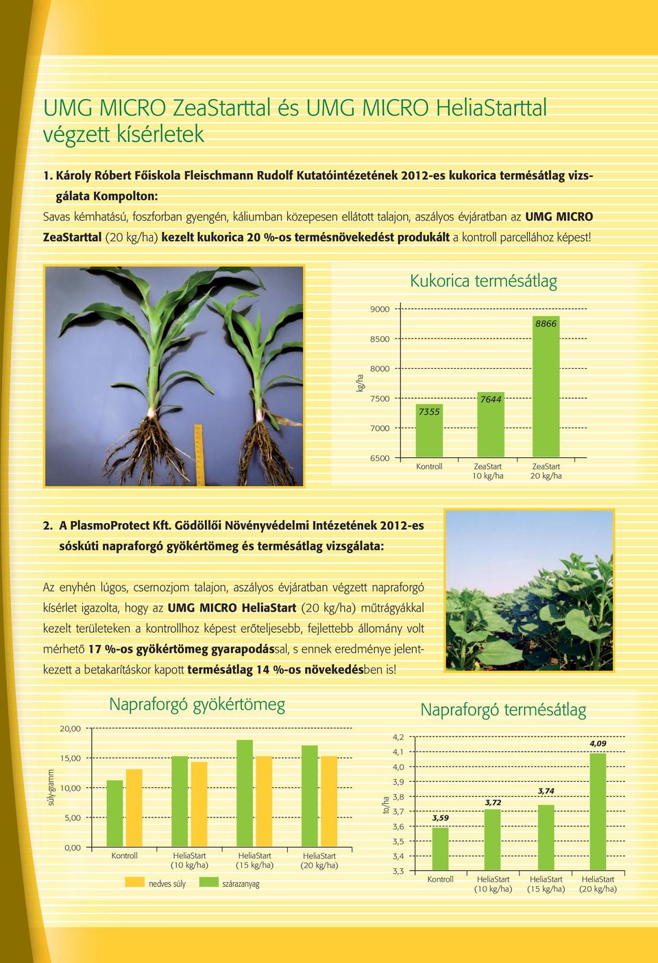 évjáratban az UMG MICRO ZeaStarttal (20 kg/ha) kezelt kukorica 20 %-os termésnövekedést produkált a kontroll parcellához képest!