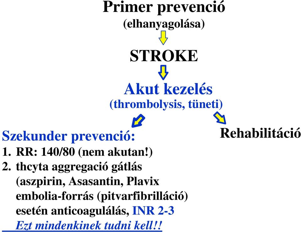 thcyta aggregació gátlás (aszpirin, Asasantin, Plavix embolia-forrás