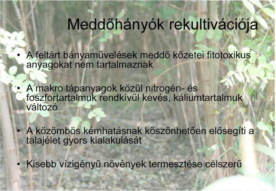 foszfortartalmuk rendkívül kevés, káliumtartalmuk változó A közömbös kémhatásnak