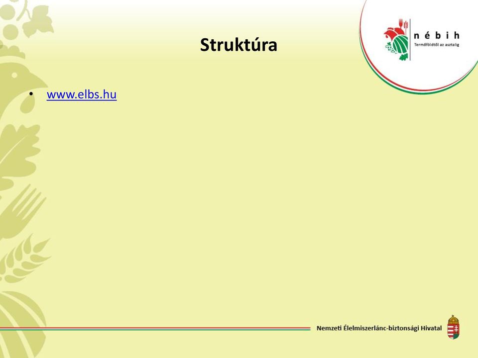 Struktúra