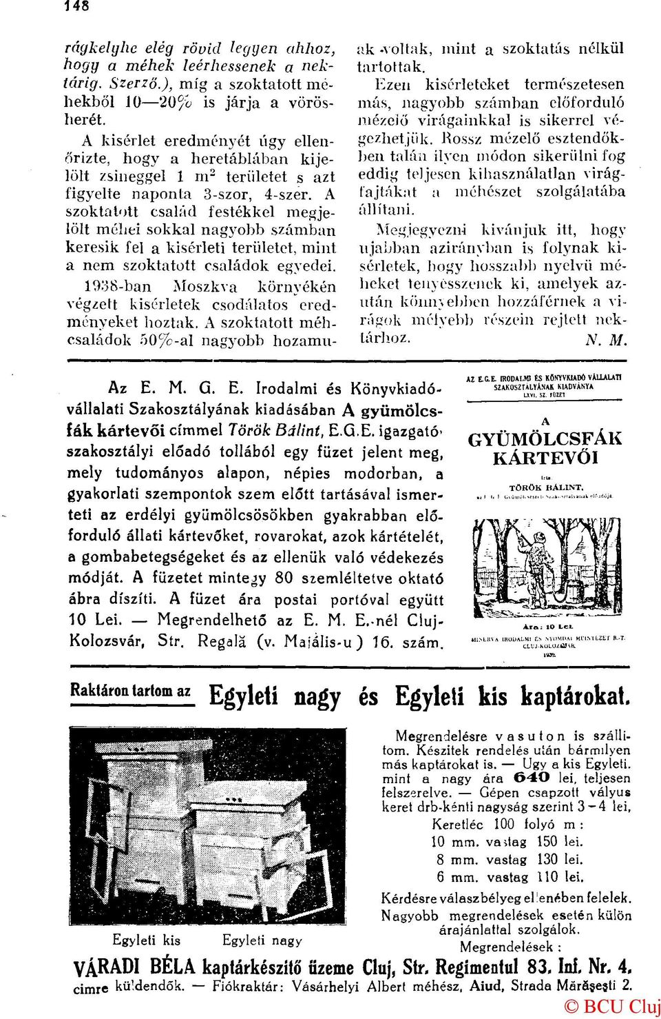 A szoktatott család festékkel megjelölt méhei sokkal nagyobb számban keresik fel a kísérleti területet, mint a nem szoktatott családok egyedei.