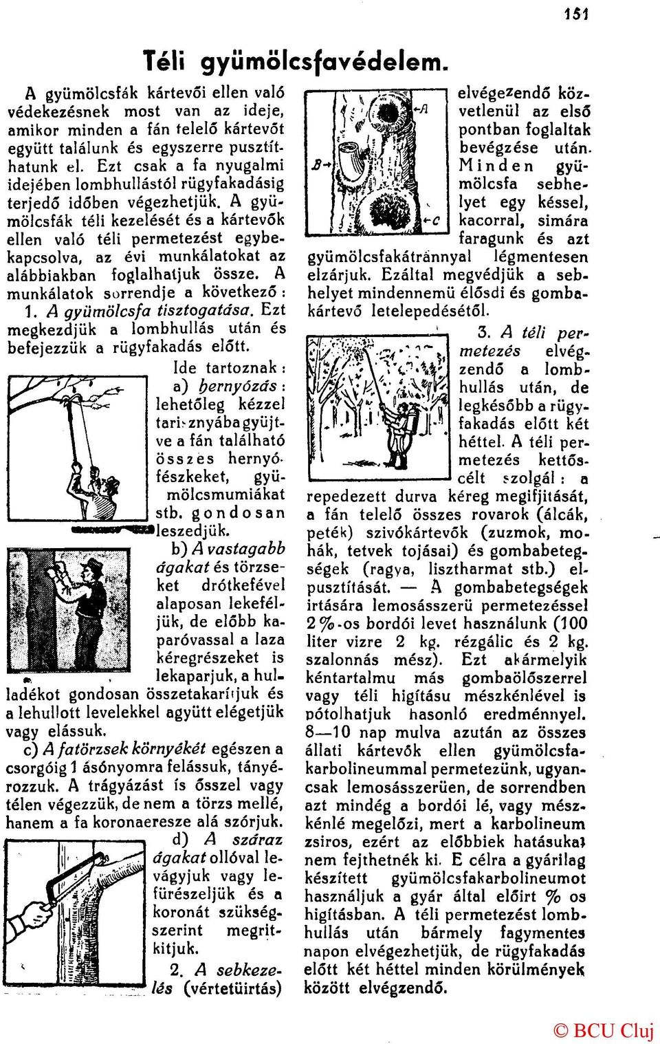 A gyümölcsfák téli kezelését és a kártevők ellen való téli permetezést egybekapcsolva, az évi munkálatokat az alábbiakban foglalhatjuk össze. A munkálatok sorrendje a következő : 1.
