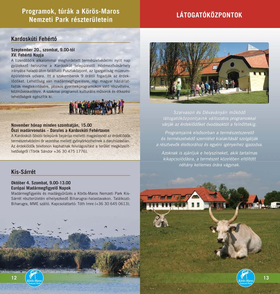 Igazgatóság múzeumépületének udvara. Itt a szakemberek 9 órától fogadják az érdeklődőket.