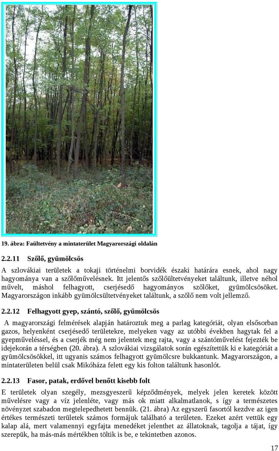 Magyarországon inkább gyümölcsültetvényeket találtunk, a szőlő nem volt jellemző. 2.