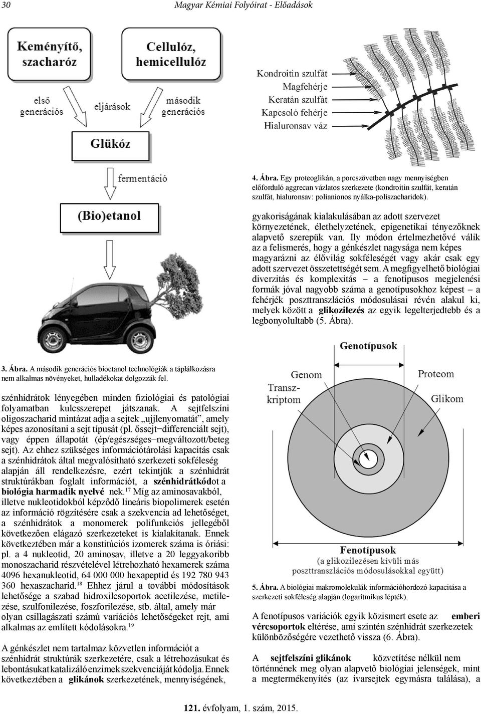 gyakoriságának kialakulásában az adott szervezet környezetének, élethelyzetének, epigenetikai tényezőknek alapvető szerepük van.