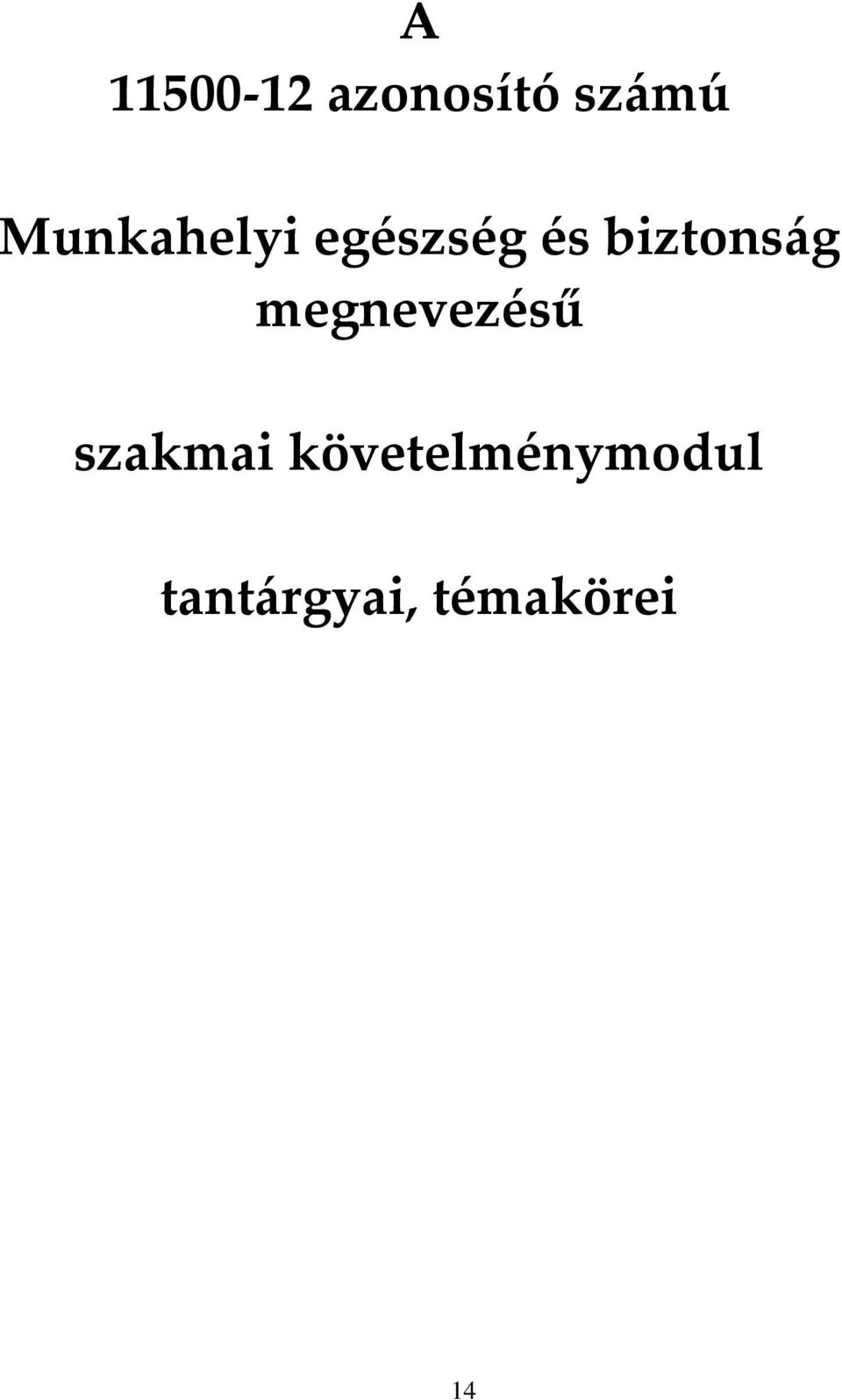 biztons{g megnevezésű szakmai