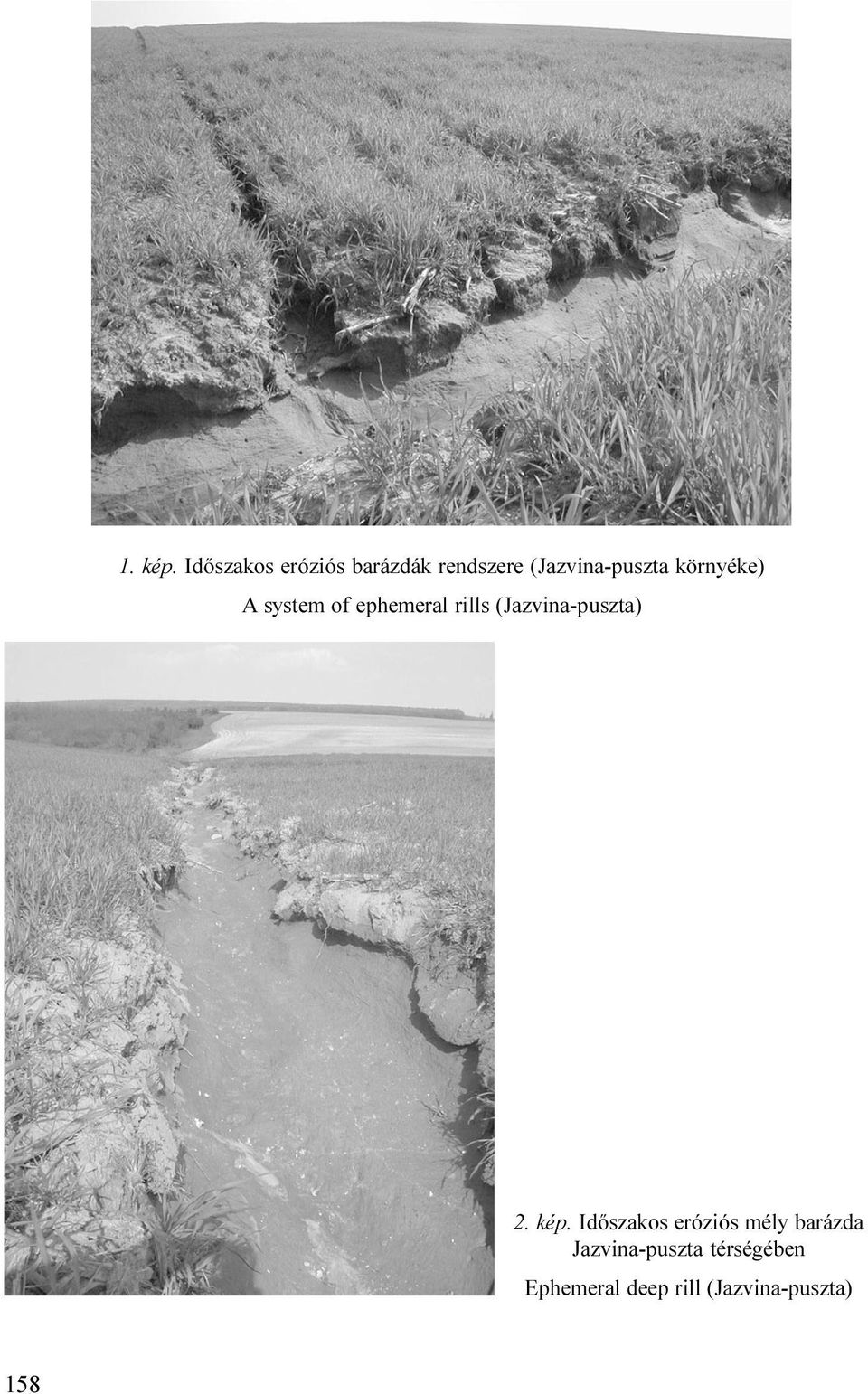 (Jazvina-puszta) 2 kép Idõszakos eróziós mély barázda
