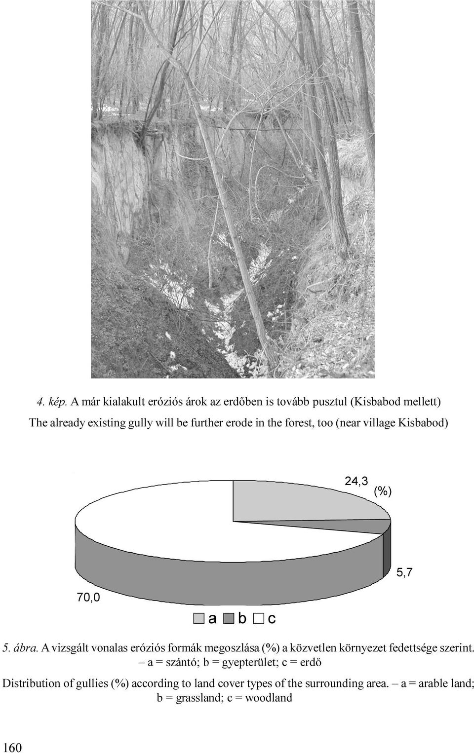 megoszlása (%) a közvetlen környezet fedettsége szerint a = szántó; b = gyepterület; c = erdõ Distribution of