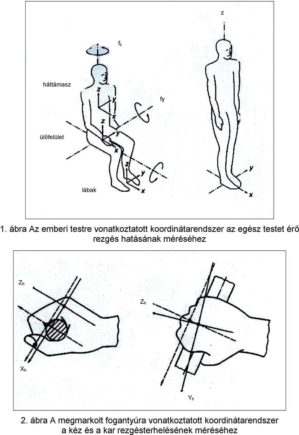 testet érő rezgés hatásának méréséhez Z h Z h X h Y h 2.
