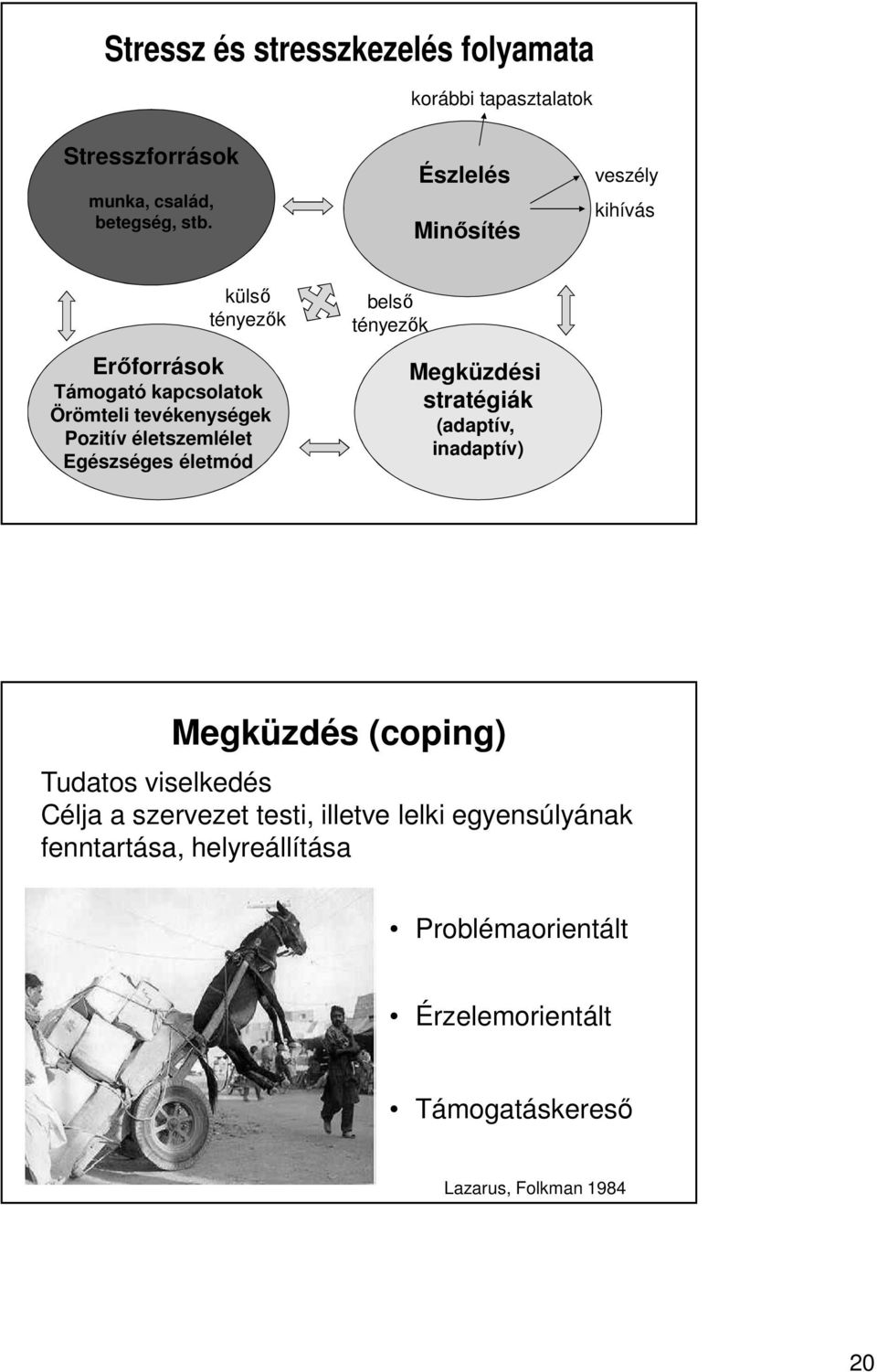 életszemlélet Egészséges életmód belső tényezők Megküzdési stratégiák (adaptív, inadaptív) Megküzdés (coping) Tudatos