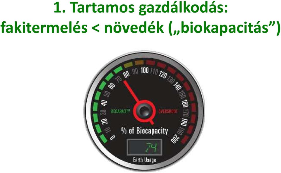 fakitermelés <