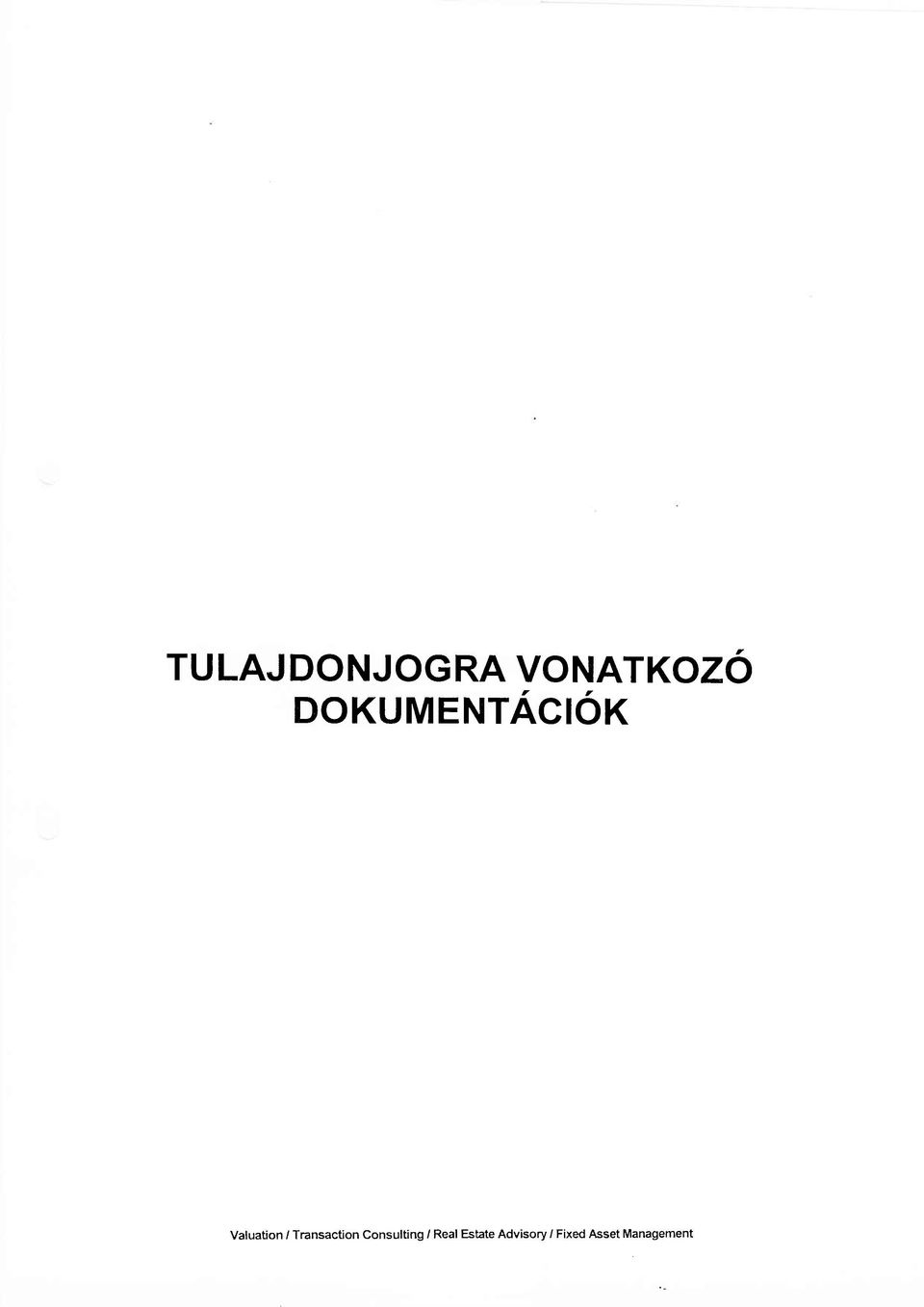 Transaction Consulting / Real