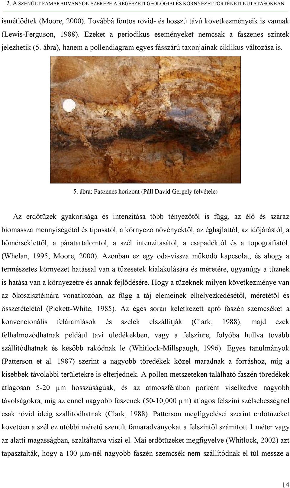 ábra), hanem a pollendiagram egyes fásszárú taxonjainak ciklikus változása is. 5.