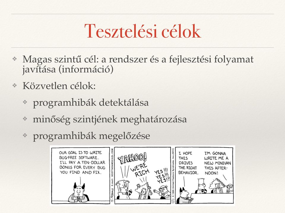 Közvetlen célok: programhibák detektálása