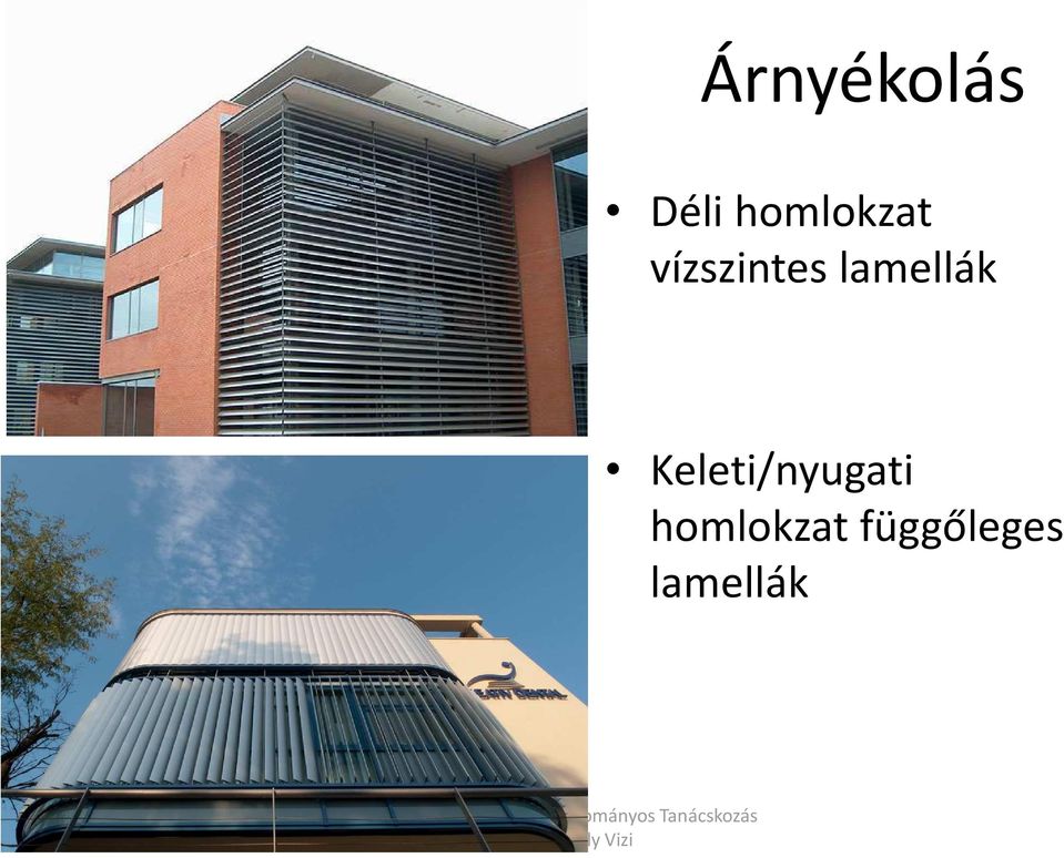 lamellák