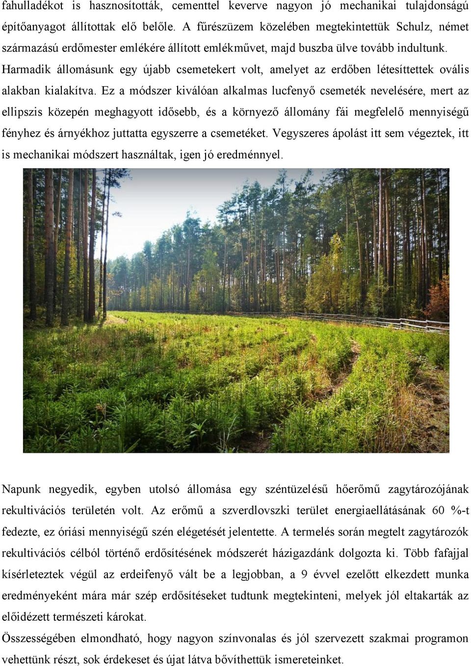 Harmadik állomásunk egy újabb csemetekert volt, amelyet az erdőben létesíttettek ovális alakban kialakítva.