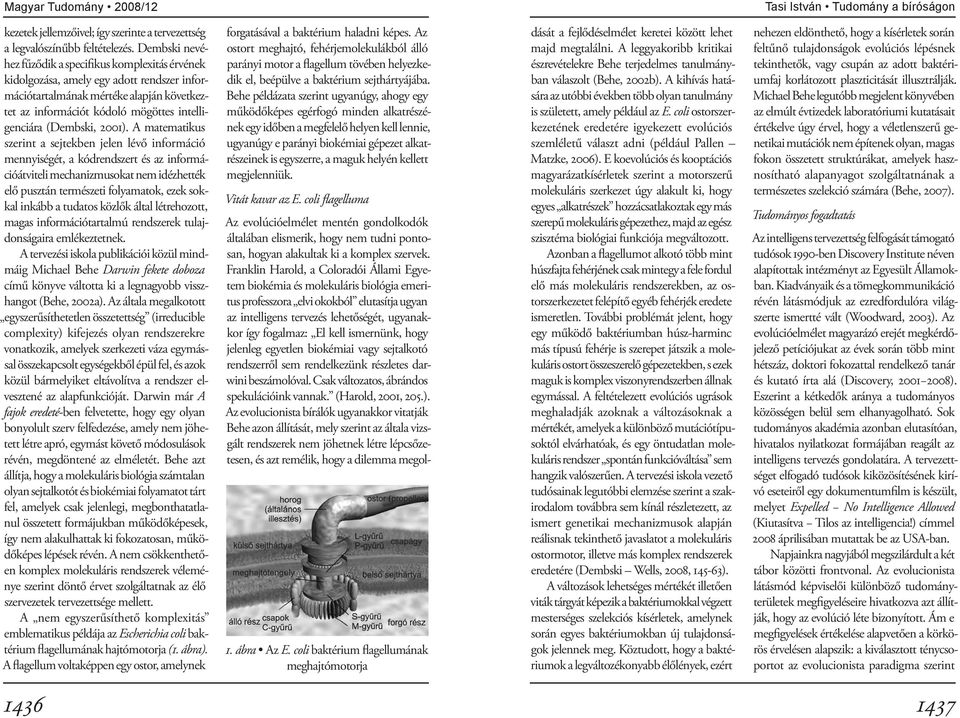 (Dembski, 2001).
