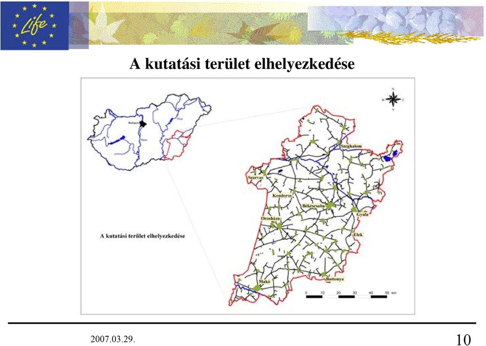 terület