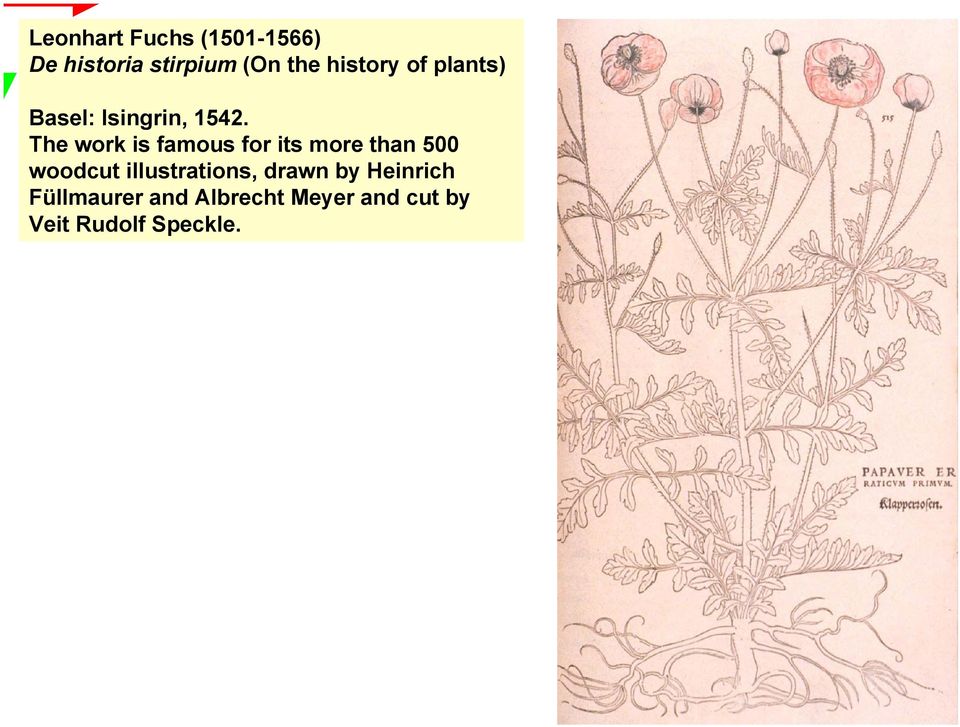 The work is famous for its more than 500 woodcut