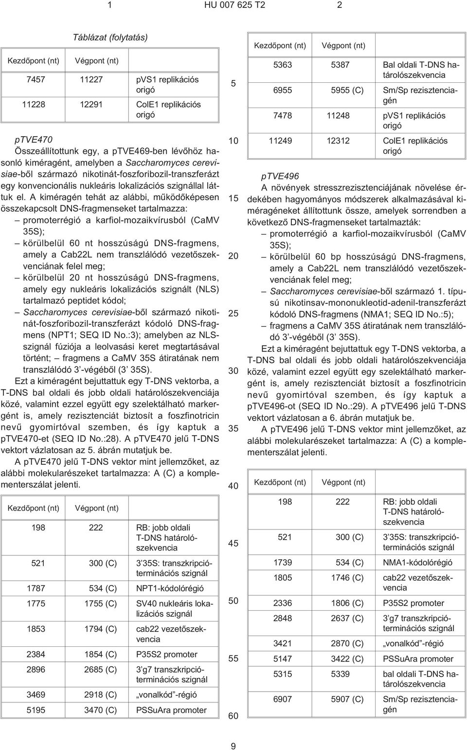 A kiméragén tehát az alábbi, mûködõképesen összekapcsolt DNS-fragmenseket tartalmazza: promoterrégió a karfiol-mozaikvírusból (CaMV 3S); körülbelül 60 nt hosszúságú DNS-fragmens, amely a Cab22L nem