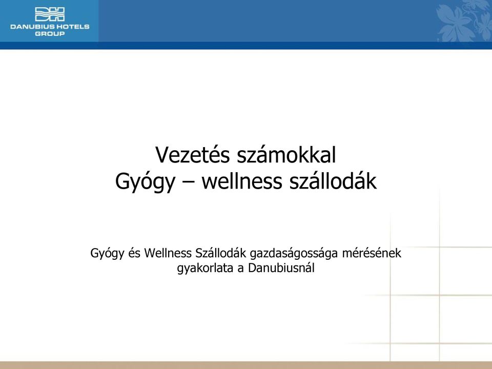 Wellness Szállodák