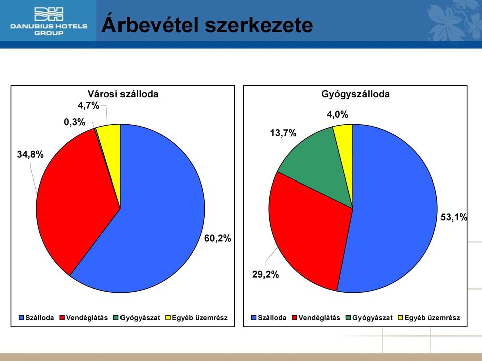 29,2% Szálloda Vendéglátás Gyógyászat Egyéb