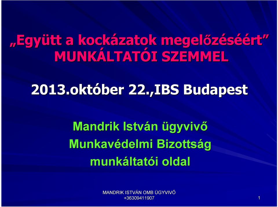 ,IBS Budapest Mandrik István ügyvivő