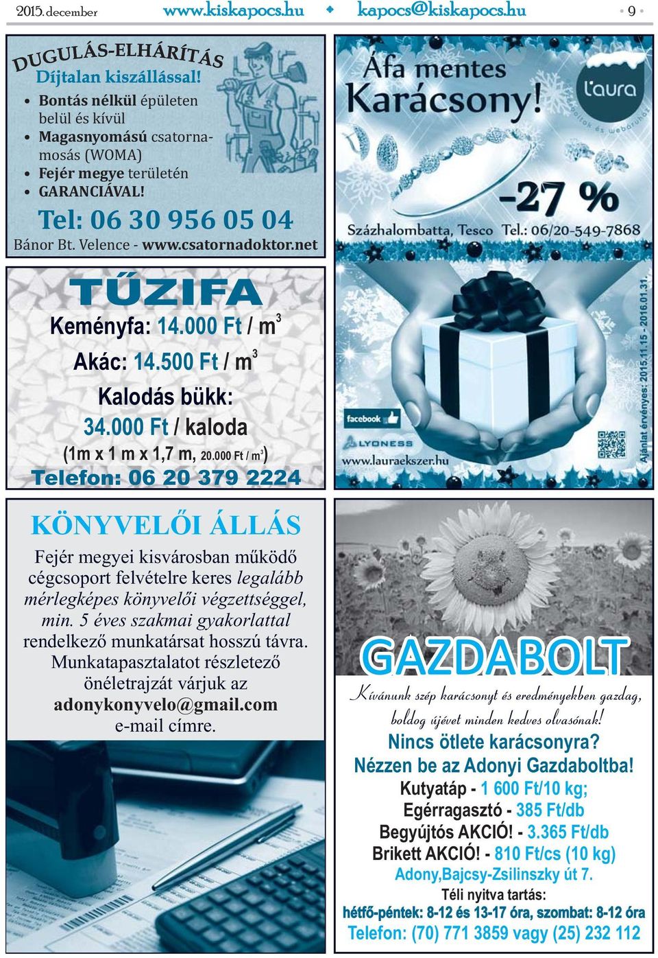 000 Ft / m ) 3 Telefon: 06 20 379 2224 3 KÖNYVELŐI ÁLLÁS Fejér megyei kisvárosban működő cégcsoport felvételre keres legalább mérlegképes könyvelői végzettséggel, min.