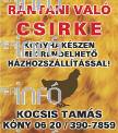 8 Keresünk Kapuvár, Csorna, Fertőd ill. környékén eladó házakat, lakásokat. Megegyezés esetén ingatlanát megvásároljuk. Ost-Invest Ingatlan Kft. Kapuvár, Deák F u. 22.