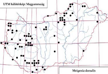 204 Tóth S.: Magyarország fürkészlégy faunája (Diptera: Tachinidae) Medina melania (Meigen, 1824) Irodalom: 7, 9, 12, 18, 20, 21, 25, 30, 31, 32, 33. Elterjedése: Európa.