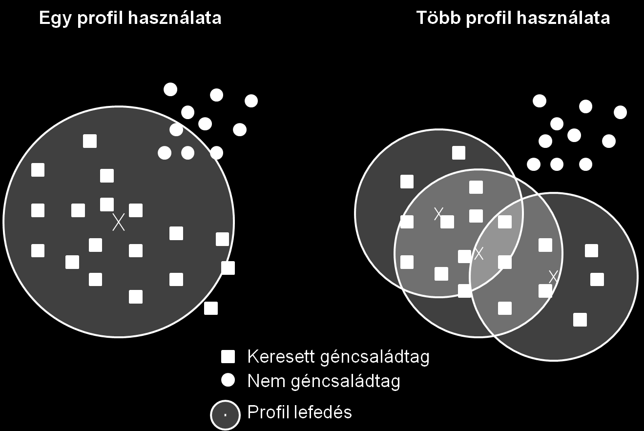 5.10. ábra Egy HMM profil lefedésének szemléltetése Ha géneket egy két dimenziós térben ábrázoljuk, akkor egy HMM profil szignifikáns találatait tekinthetjük egy meghatározott sugarú körnek.