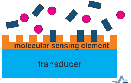 BIOSZENZOR BIOSZENZOR = MOLEKUÁRIS ÉRZÉKELŐELEM + ÁTALAKÍTÓ BIORECEPTOR + TRANSZDUCER Molekulafelismerés: kulcs-zár mechanizmus 33 BIOSZENZOR Jellemző tulajdonságuk, hogy a kémiai felismerést