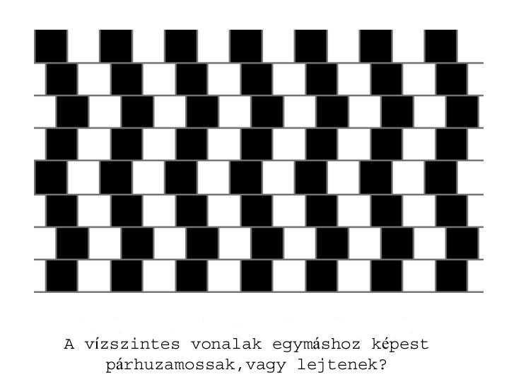 Egyéni magatartás/1