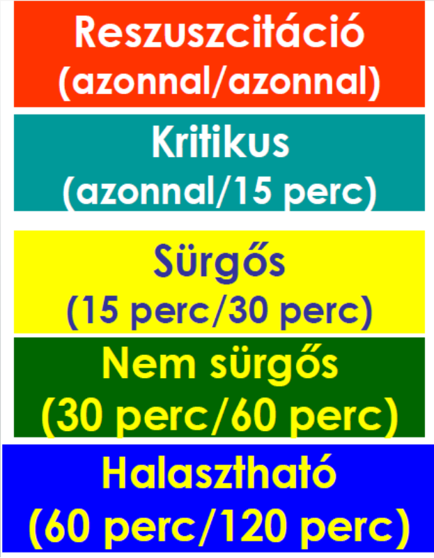 Szakmai allokációs rendszer: TRIÁZS A triage olyan értékelő rendszer, melynek segítségével akut egészségkárosodás veszélye