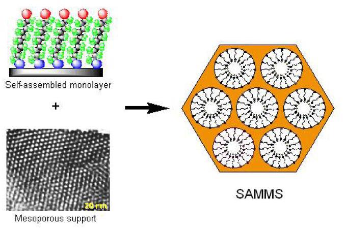 SAMMS (Self-Assembled Monolayers on Mesoporous Supports) Adott célnak megfelelően közepes pórusméretű hordozóra egy molekula-réteget viszünk fel Mind a hordozóhoz, mind a molekularéteghez