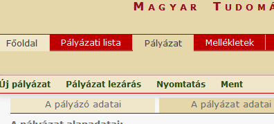 A pályázatot minden szükséges adat kitöltése és a fájlok feltöltése után a Pályázat lezárása szövegre történő kattintással lehet véglegesíteni.