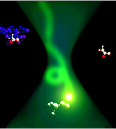 Fluorescence correlation spectroscopy