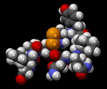 Az oxitocin Vincent du Vigneaud 1953 izolálta és szintetizálta az oxitocint, amiért 1955 Nobel-díjjal ismerték el A neurophisin
