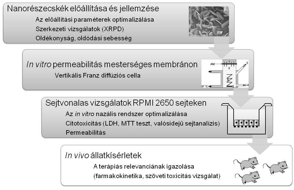 esetén hosszantartó gyógyszeres terápia szükséges és ezzel az egyszerű adagolási móddal növelhető lenne a beteg compliance (pl. diabetes mellitus, Parkinson-kór).